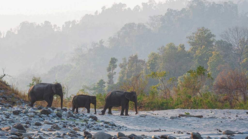 Exploring Bodoland