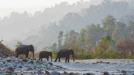 Exploring Bodoland