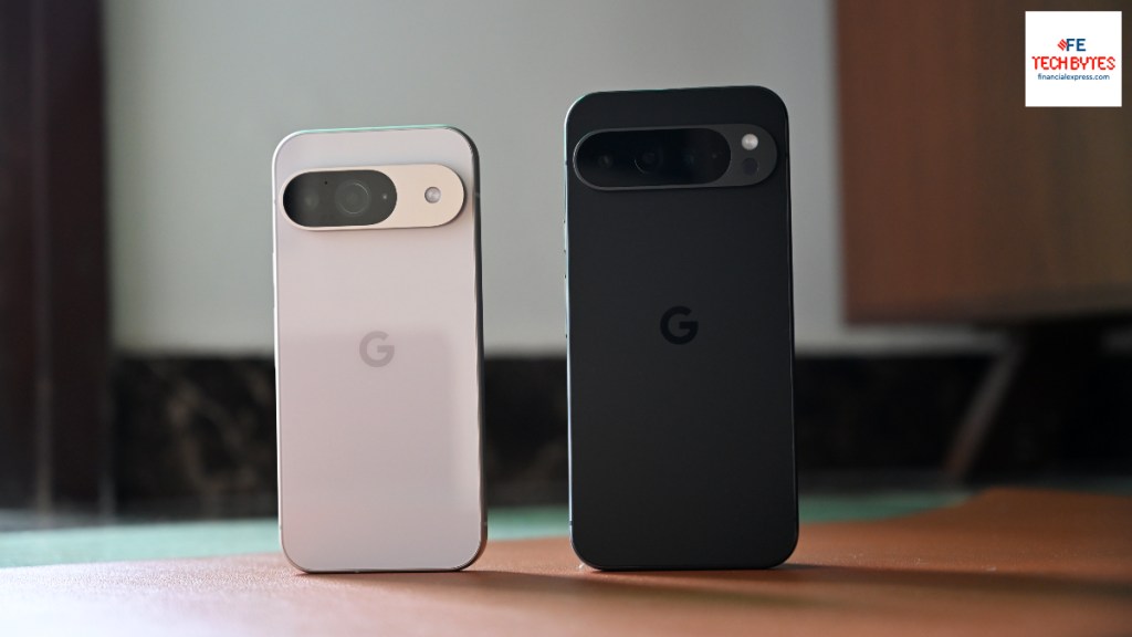 Some Pixel users have access to remote lock but not the theft detection feature.