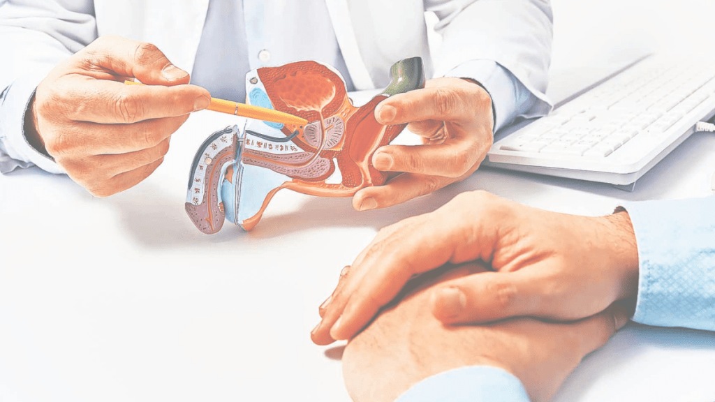 Prostrate protection