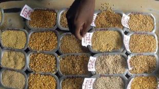 foodgrain production, foodgrains, economy
