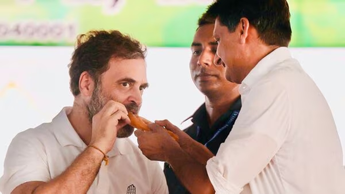 Jalebi frenzy on social media as BJP sends sweets to Rahul Gandhi after Congress' Haryana poll loss. Here's why Jalebi frenzy on social media as BJP sends sweets to Rahul Gandhi after Congress' Haryana poll loss. Here's why