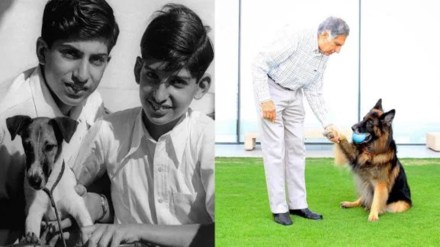 A friend of furries: Ratan Tata's last project was a 'Small Animal Hospital' A friend of furries: Ratan Tata's last project was a 'Small Animal Hospital'