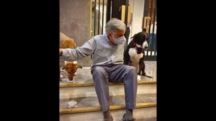 Ratan tata, ratan tata news, ratan tata death, ratan tata last rites, ratan tata prince charles, ratan tata dogs, ratan tata, Ratan Tata, Ratan Tata Death, Ratan Tata Death News, Ratan Tata Died, Ratan Tata Passes Away, ratan tata death reasons, rip ratan tata quotes, ratan tata death time and date, ratan tata images rip, ratan tata died date and time, today's news headlines, tata ratan rip, rathan tata rip, when ratan tata died time, rip message for ratan tata, ratan tata passed away today, quotes about ratan tata, tata quotes, ratan tata words, who is ratan tata son, after ratan tata who will be the owner of tata group, रतन टाटा का निधन, रतन टाटा जीवनी, ratan tata shradhanjali in hindi, रतन टाटा निधन, ratan tata ko kya hua Ratan tata, ratan tata news, ratan tata death, ratan tata last rites, ratan tata prince charles, ratan tata dogs, ratan tata, Ratan Tata, Ratan Tata Death, Ratan Tata Death News, Ratan Tata Died, Ratan Tata Passes Away, ratan tata death reasons, rip ratan tata quotes, ratan tata death time and date, ratan tata images rip, ratan tata died date and time, today's news headlines, tata ratan rip, rathan tata rip, when ratan tata died time, rip message for ratan tata, ratan tata passed away today, quotes about ratan tata, tata quotes, ratan tata words, who is ratan tata son, after ratan tata who will be the owner of tata group, रतन टाटा का निधन, रतन टाटा जीवनी, ratan tata shradhanjali in hindi, रतन टाटा निधन, ratan tata ko kya hua