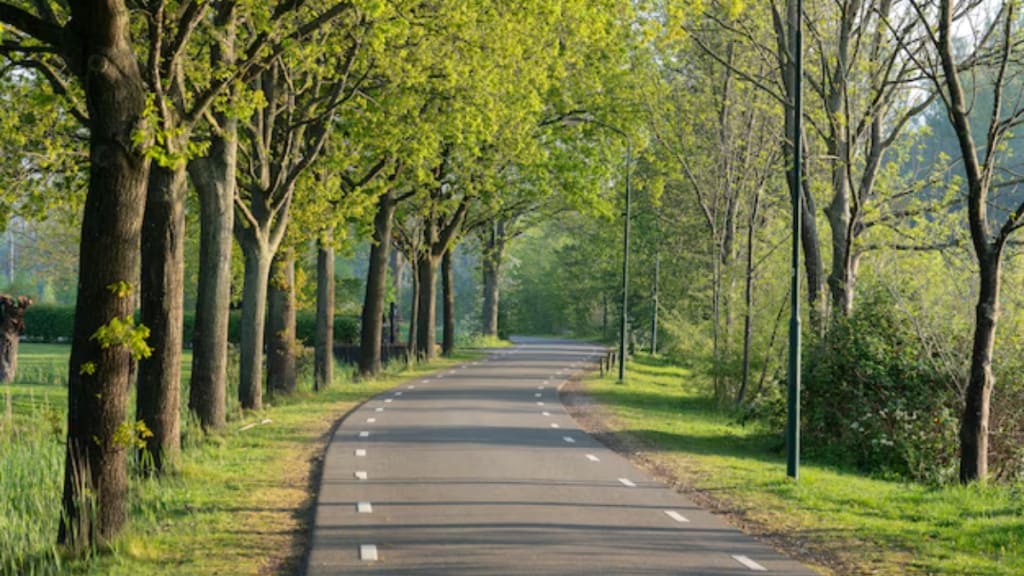 Roadways