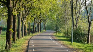 Roadways