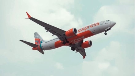 Air India and Vistara together will have a staff strength of around 25,000. Out of them, there will be about 12,000 cabin crew members. (File image) Air India and Vistara together will have a staff strength of around 25,000. Out of them, there will be about 12,000 cabin crew members. (File image)