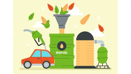 Solid Waste Management