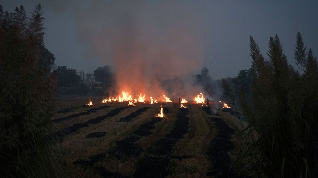Farmers burn stubble in a rice field at a village in Karnal in the northern state of Haryana, India, October 21, 2024. REUTERS/Bhawika Chhabra
