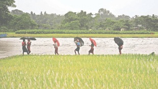 The Women Who Would Not Die