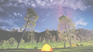 Travel trend