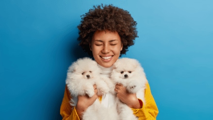 Professional grooming outside the home is becoming increasingly popular as pet parents seek more specialised care for their pets. (Image: freepik)