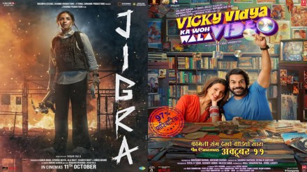 Vicky Vidya Ka Woh Wala Video Box Office Collection, Box Office Collection of Jigra