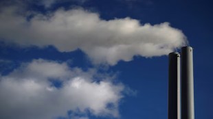 COP29, Carbon Credit, UN, United Nations, Paris Agreement Crediting Mechanism, PACM