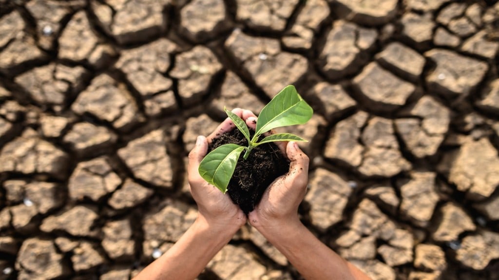 circular economy, Supply Chains, job opportunities, sustainability, climate change, foreign multinationals, entrepreneurs, technology, energy consumption, carbon emissions