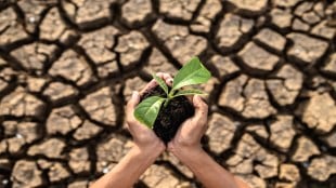 circular economy, Supply Chains, job opportunities, sustainability, climate change, foreign multinationals, entrepreneurs, technology, energy consumption, carbon emissions