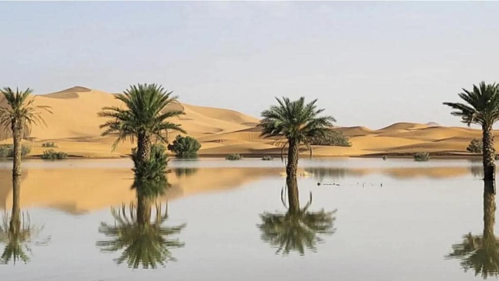 Rare rains after 50 years turn dry Sahara into oasis - Dramatic pictures show drought-stricken desert now flooded Rare rains after 50 years turn dry Sahara into oasis - Dramatic pictures show drought-stricken desert now flooded