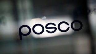 POSCO, JSW Group, Rashtriya Ispat Nigam, RINL, Industry