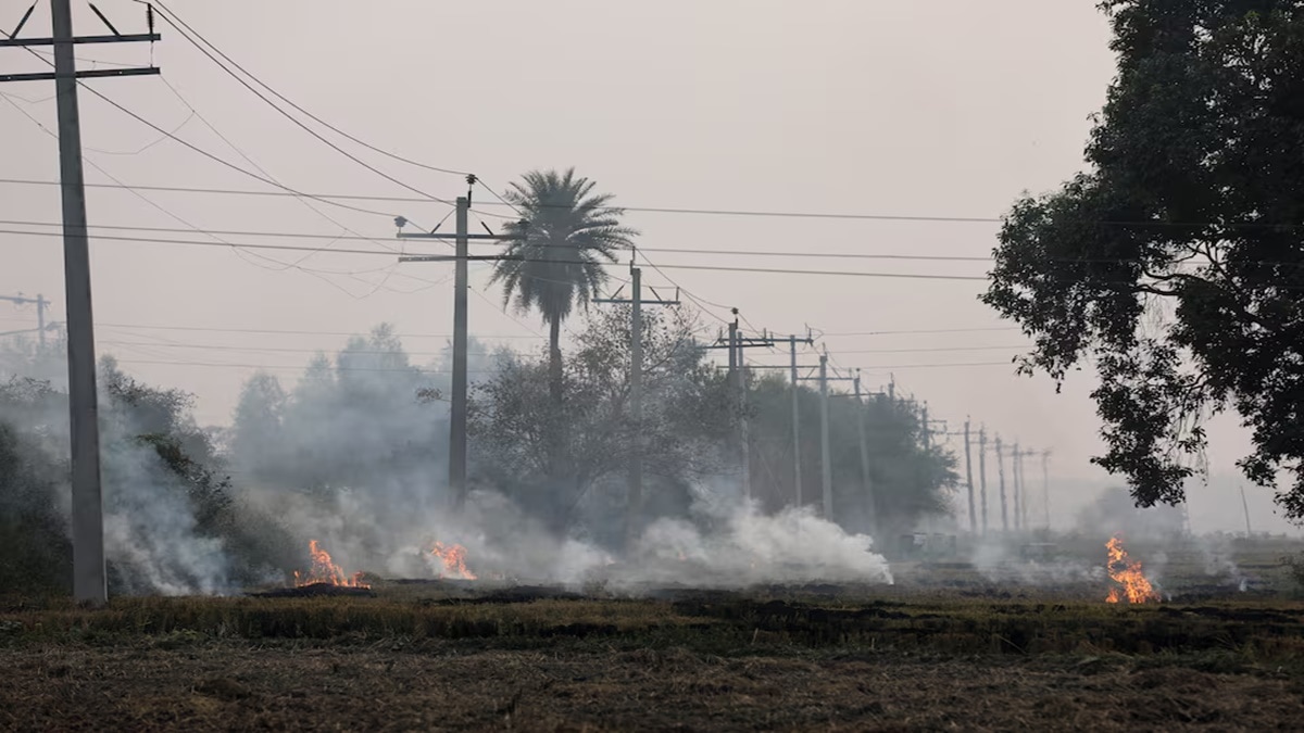 stubble burning, Crops, farmers, decomposition, meri fasal mera bayora, paddy crop