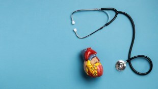 Google Trends, Google Trends health, heart health, Heart health updates, Health news, Google news, healthcare news,