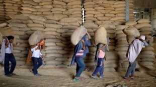 Economy, export, Agricultural export, MEP, Agriculture, Tea, APEDA