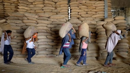 Economy, export, Agricultural export, MEP, Agriculture, Tea, APEDA