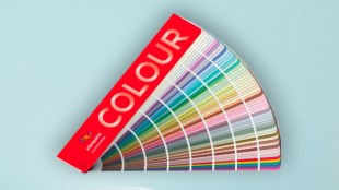 Asian Paints share price today, November 11