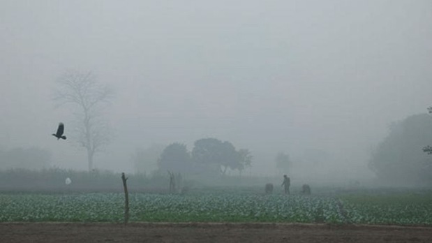 People work in a field as the sky is shrouded in smog after Delhi's air quality worsened. (PTI)