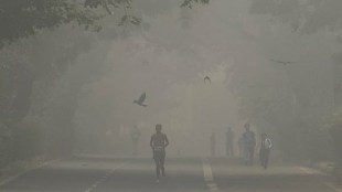 Delhi chokes as AQI plummets to 'severe plus' level, stands at 483; schools go online, flights delayed