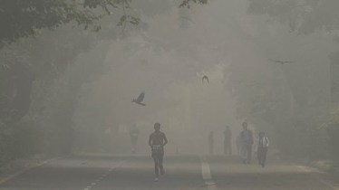 Delhi chokes as AQI plummets to 'severe plus' level, stands at 483; schools go online, flights delayed