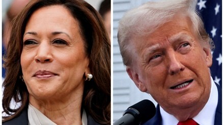 US election, US election results, US elections 2024, Donald Trump, Kamala Harris, When will trump take oath, New US President, Donald Trump age, who voted for Trump, how US people vote, Kamala Harris speech, Donald Trump speech, Elon Musk, Donald Trump net worth, Elon Musk net worth