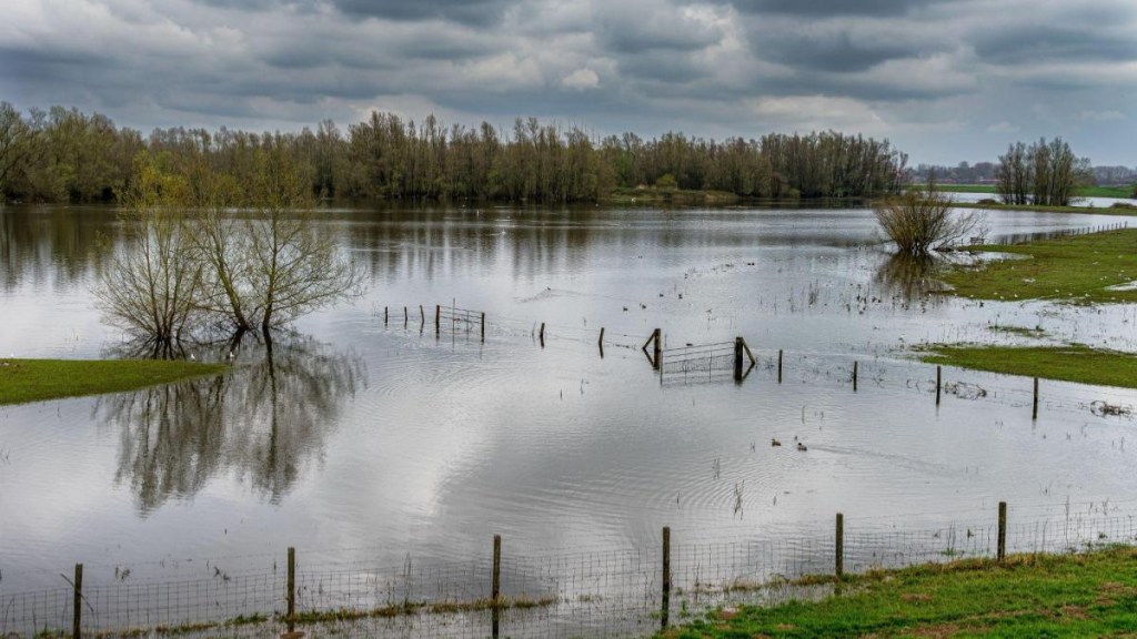 flood in georgia, emergency declared in georgia, world news