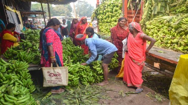 Women purchase bananas ahead of the Chhath Puja festival, in Mirzapur. (Image:PTI)