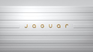 Jaguar device mark