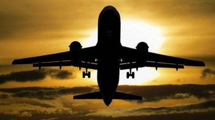 Kolkata airport bird strike