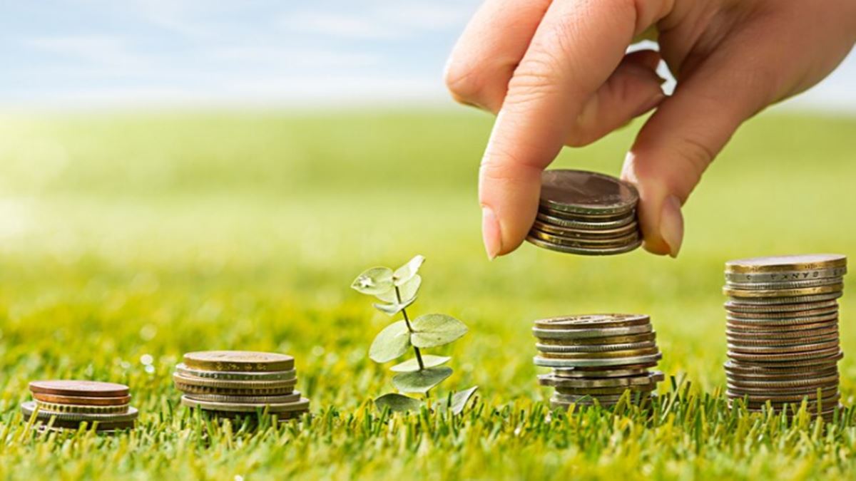 These mutual funds consistently outperform general equity schemes – Should you invest? These mutual funds consistently outperform general equity schemes – Should you invest?
