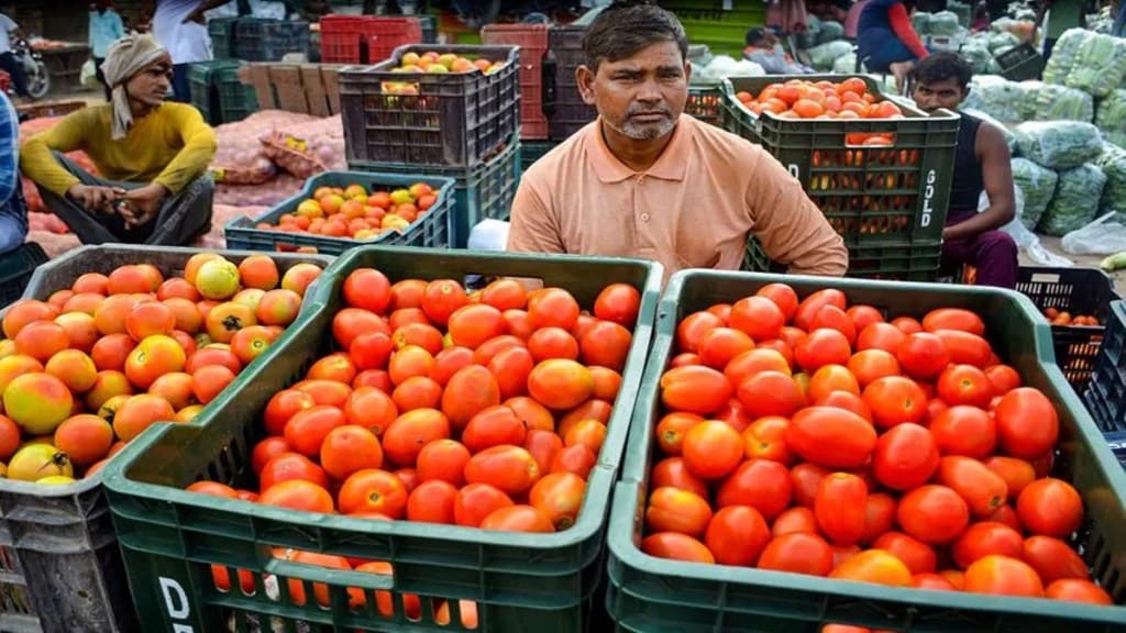 Retail Tomato Prices Drops 22.4 per cent, factors to supply surge. Representational photo/ Image Source: PTI