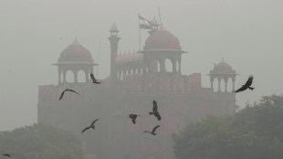 effects of air pollution on pregnancy,air pollution during pregnancy, pregnancy and air quality, effects of air pollution on pregnant women, risks of air pollution for babies, prenatal air pollution exposure, pregnancy health and pollution, maternal exposure to air pollution, air pollution effects on fetal development, air quality and pregnancy outcomes, pregnancy complications from air pollution, protecting pregnancy from air pollution