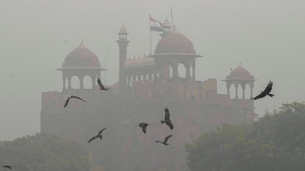 effects of air pollution on pregnancy,air pollution during pregnancy, pregnancy and air quality, effects of air pollution on pregnant women, risks of air pollution for babies, prenatal air pollution exposure, pregnancy health and pollution, maternal exposure to air pollution, air pollution effects on fetal development, air quality and pregnancy outcomes, pregnancy complications from air pollution, protecting pregnancy from air pollution