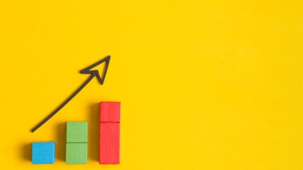 Several startups have been forced to cut jobs and scale back expansion plans, while others have collapsed entirely.