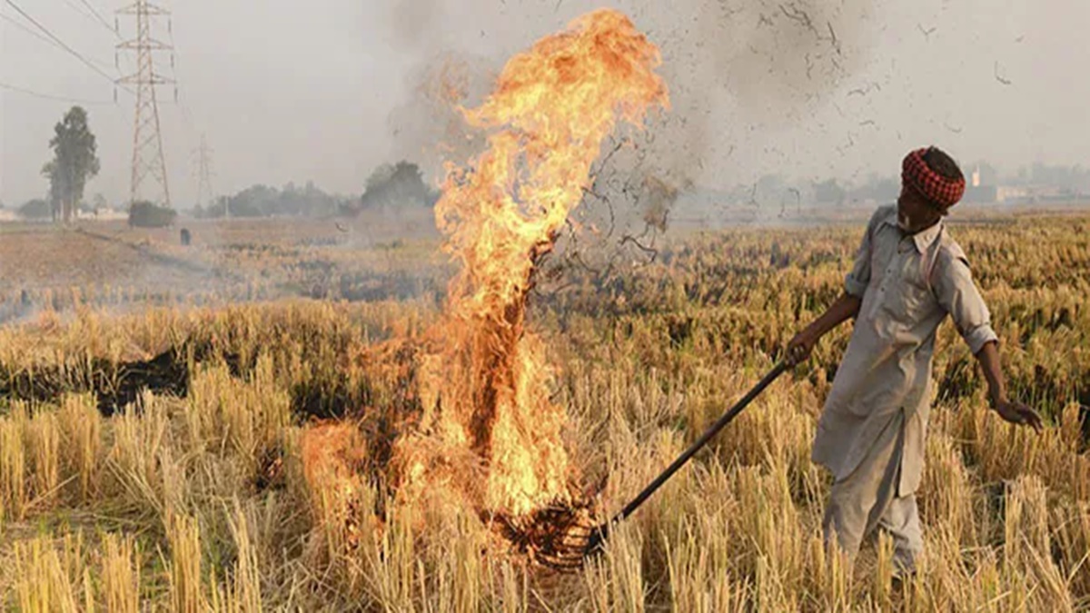 Centre doubles penalties for stubble burning as air quality in Delhi plummets Centre doubles penalties for stubble burning as air quality in Delhi plummets