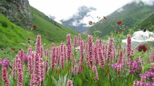 Treks of Uttarakhand