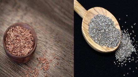 Flax seeds, Chia seeds, flax seeds benefits, flax seeds side effects, chia seeds benefits, health news, wellness news, Flax seeds, Chia seeds, flax seeds benefits, flax seeds side effects, chia seeds benefits, health news, wellness news,
