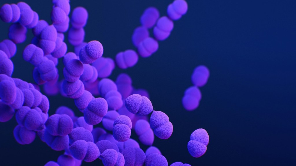 Walking Pneumonia, Walking Pneumonia symptoms, Walking Pneumonia treatment, Walking Pneumonia causes, World Pneumonia Day 2024, Pneumonia news, health news, wellness news,