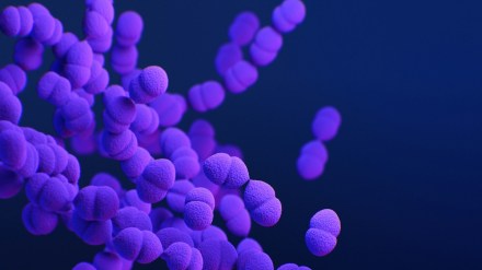 Walking Pneumonia, Walking Pneumonia symptoms, Walking Pneumonia treatment, Walking Pneumonia causes, World Pneumonia Day 2024, Pneumonia news, health news, wellness news, Walking Pneumonia, Walking Pneumonia symptoms, Walking Pneumonia treatment, Walking Pneumonia causes, World Pneumonia Day 2024, Pneumonia news, health news, wellness news,