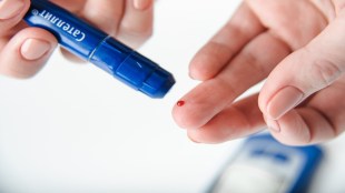 World Diabetes Day, World Diabetes Day 2024, Diabetes symptoms, Diabetes causes, Diabetes treatment, obesity, Lancet Study, Lancet journal, health news, wellness news,