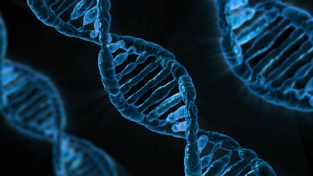 Pancreatic Cancer, genetic testing, pancreatic cancer diagnosis, pancreatic cancer awareness month, pancreatic cancer treatment, health news, diagnosis news, wellness news,