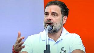 Wayanad Bypoll, Rahul Gandhi, Priyanka Gandhi Vadra, Constitution of India,