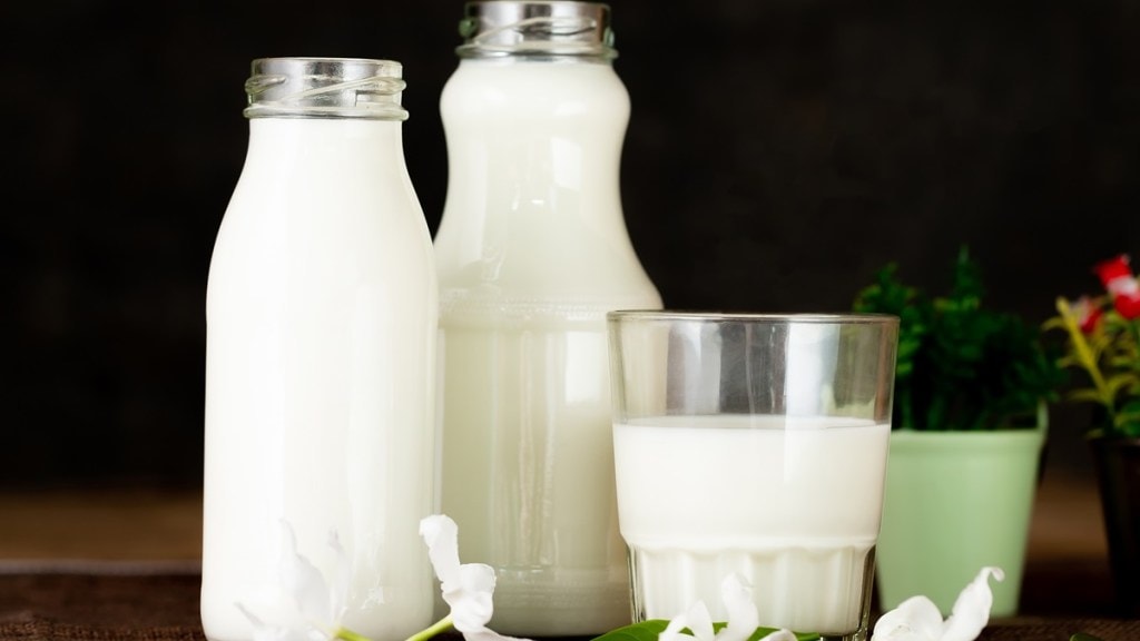 Dairy startup Doodhvale Farms raises USD 3 mn from investors to expand biz Dairy startup Doodhvale Farms raises USD 3 mn from investors to expand biz