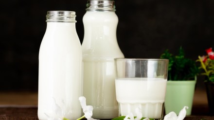 Dairy startup Doodhvale Farms raises USD 3 mn from investors to expand biz